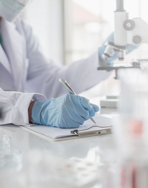 Drug Product Release & ICH Stability Services Drug Product Release & ICH Stability Services