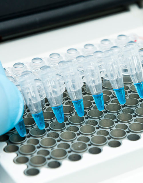 Pharma Preformulation